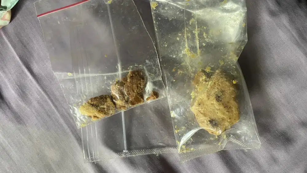 Ambergris Muntahan Paus