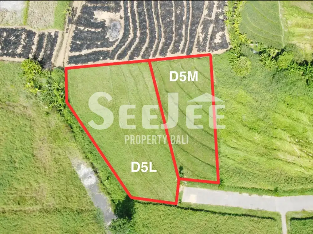 Dijual Tanah SHM di Kedungu 500 Meter Dari Pantai Zona Pariwisata- Slfc017