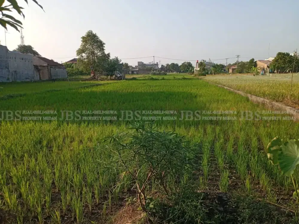 Dijual Tanah di Jalan Sukarela Timur/Jalan Surya Haji - Dekat Komplek Mentari Raffles