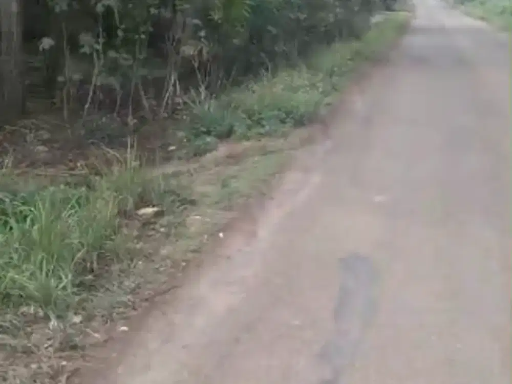 Kavling Tanah Padat 700meter dar Kec.Maja Nempel Citra Maja