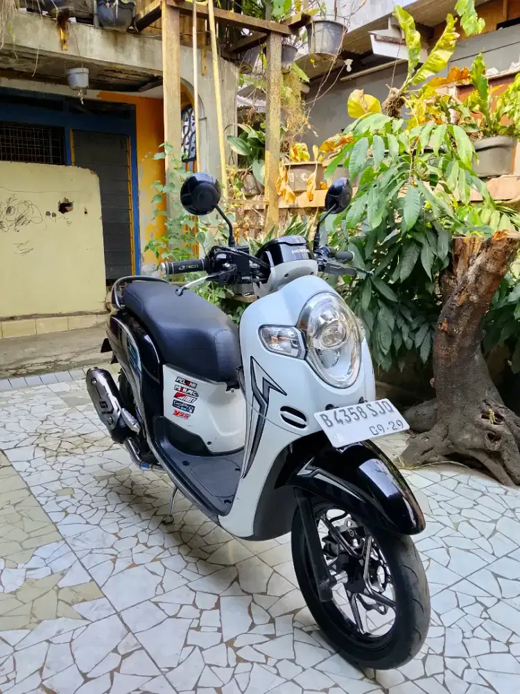 Scoopy 2019 seger