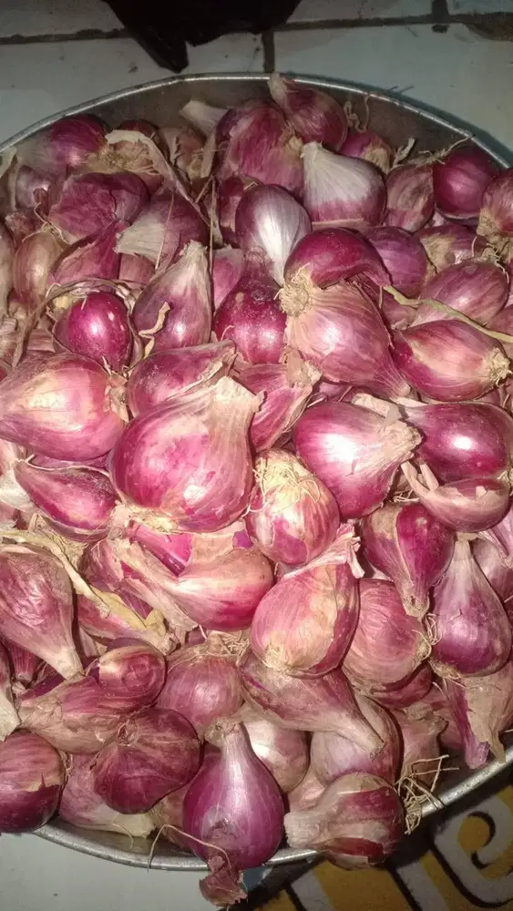Bawang merah 1kg