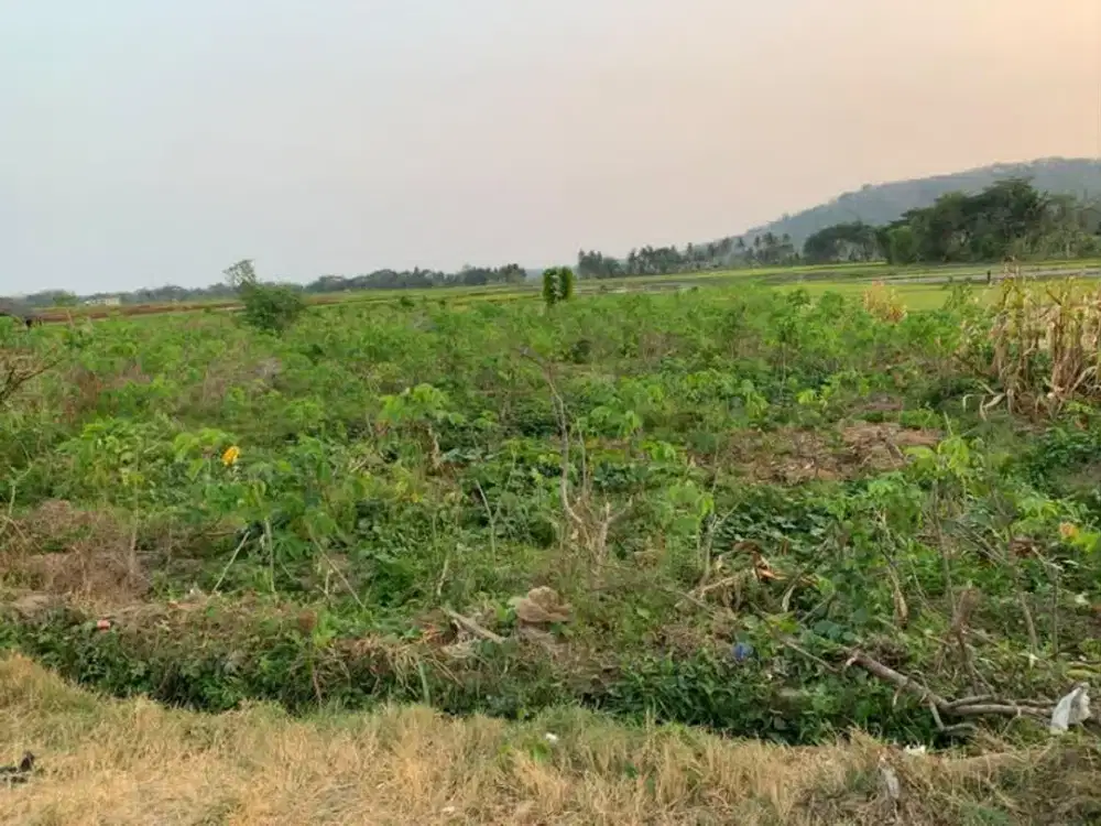 Tanah Pekarangan Lokasi Strategis di Nanggulan Kulon Progo,Potensial untuk  Hunian & Investasi