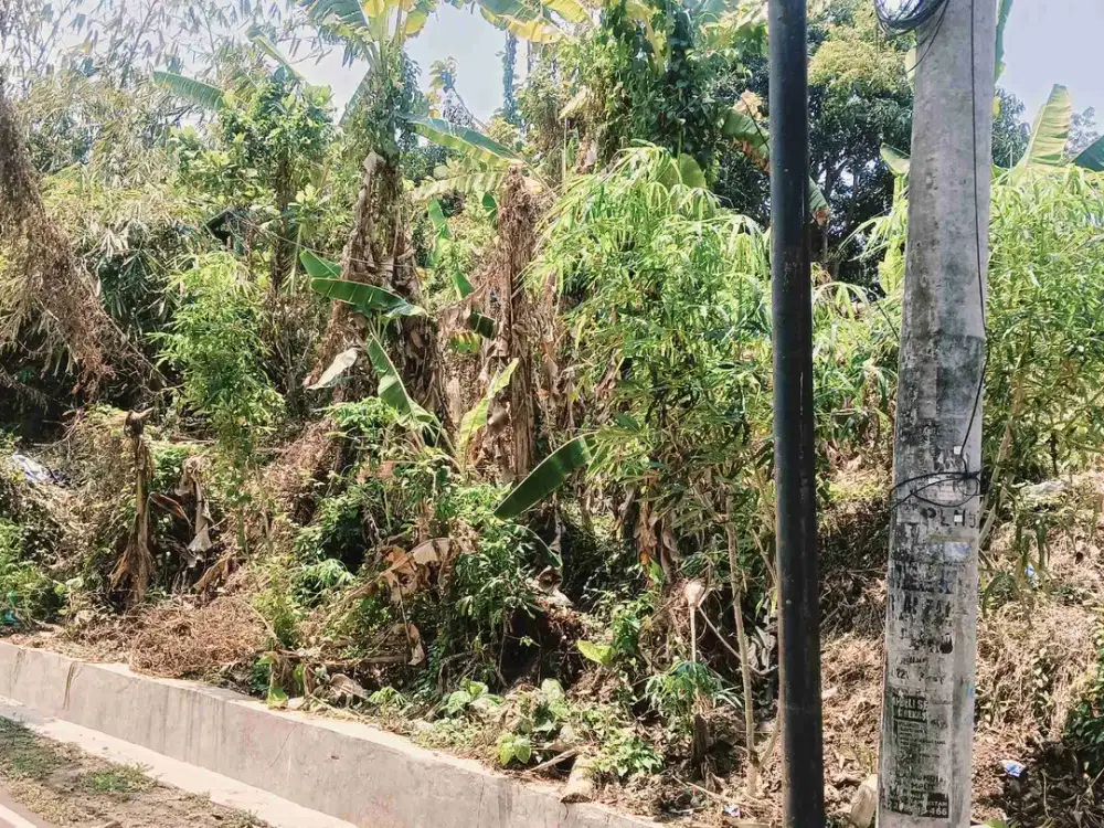 Tanah Mulawarman Tembalang Harga Ekonomis