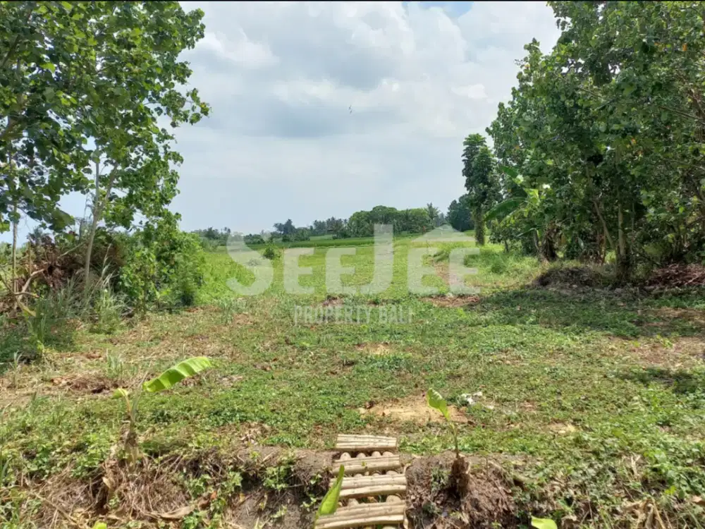 Tanah Pantai Prima di Belong dengan Akses Jalan 9M - Ideal untuk Pengembangan Pariwisata - Slfc016