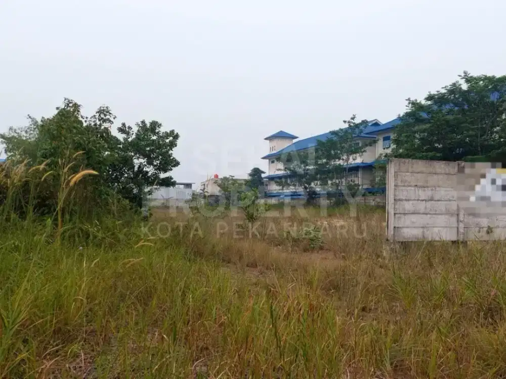 Disewakan Tanah Siap Pakai & Pagar Sekeliling Di Tepi Jalan Asofa
