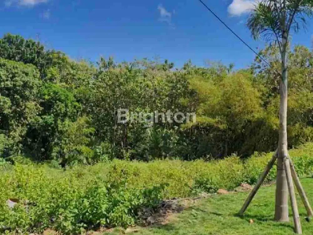 TANAH 32 ARE DI ULUWATU LOKASI IDEAL
