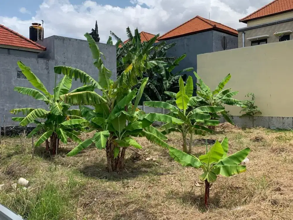 JUAL TANAH LANGKA DI LOKASI PRIME RENON