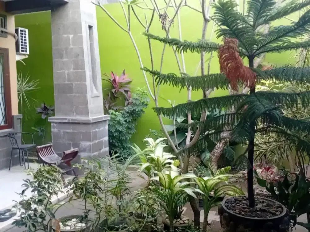 JUAL RUMAH MEWAH LOKASI PRIME RENON
