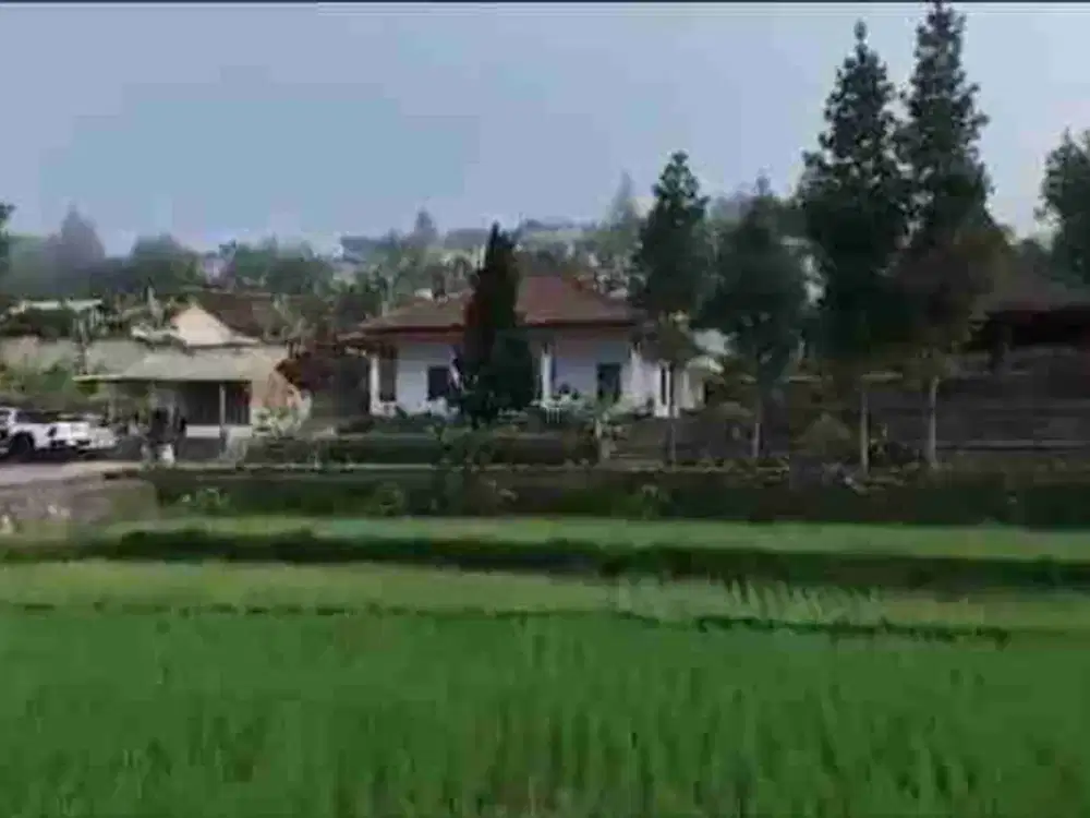 DI JUAL VILLA - KEBUN DAN SAWAH PRODUTIP .VILLA SIAP HUNI AKES JLN BESAR VIEW CITY LIGTH UDARA SEJUK AIR SUBUR.