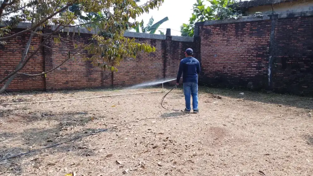 Jasa anti rayap dan jasa pest control
