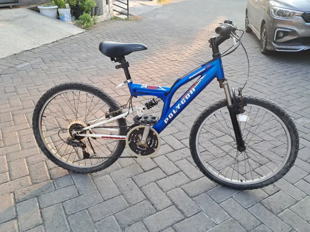 Mtb Polygon 24 Alloy