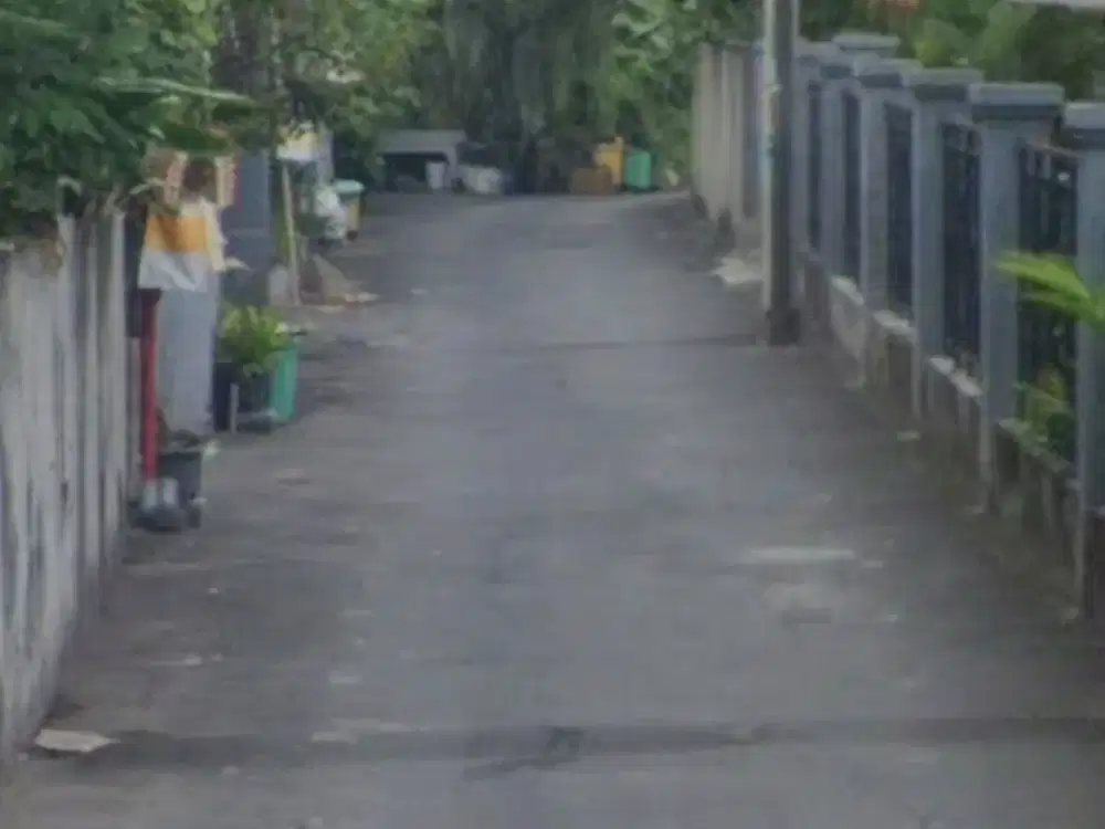 JUAL TANAH BONUS BANGUNA TUA KESIMAN