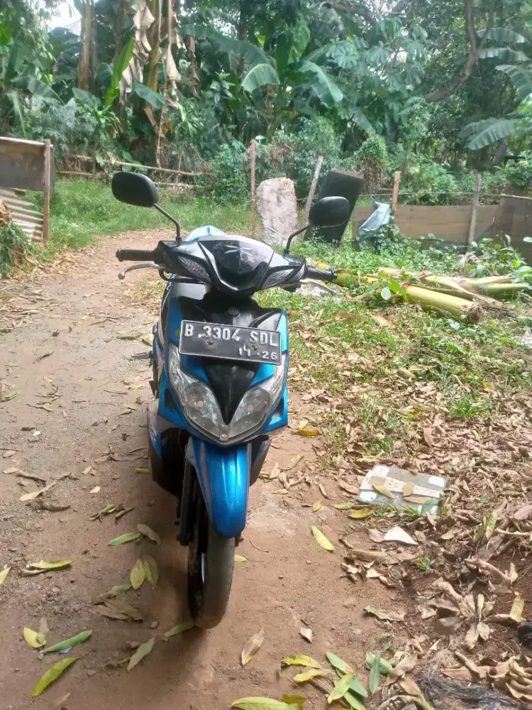 Motor Xeon karbu