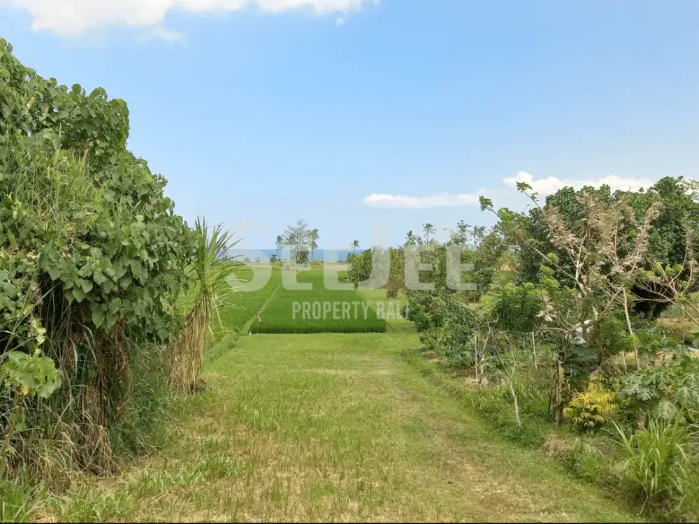 Tanah Pantai Prima di Belong dengan Akses Jalan 9M - Ideal untuk Pengembangan Pariwisata - Zona Pink - Slfc064