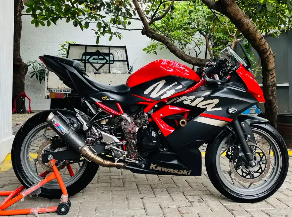 Kawasaki ninja 250 sl mono