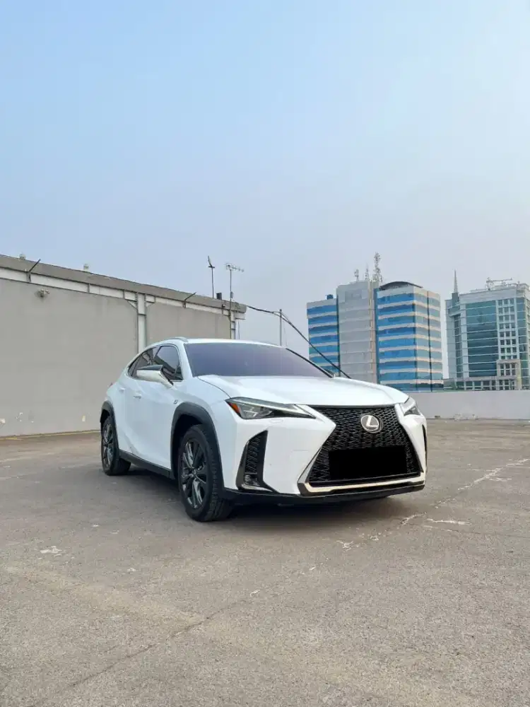 Lexus UX 200 F Sport Nik 2019