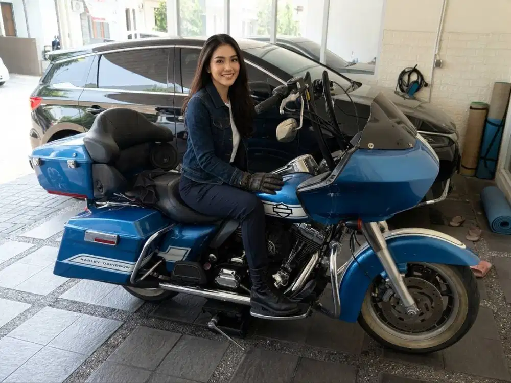 HARLEY DAVIDSON ROAD GLIDE 2003 ANNIVERSARY RARE ITEM
