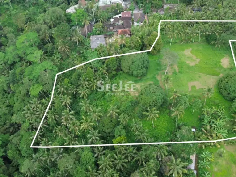 Dijual Tanah SHM di Ubud Zona Pink (Pariwisata) View Hutan dan Sungai- Slfu055