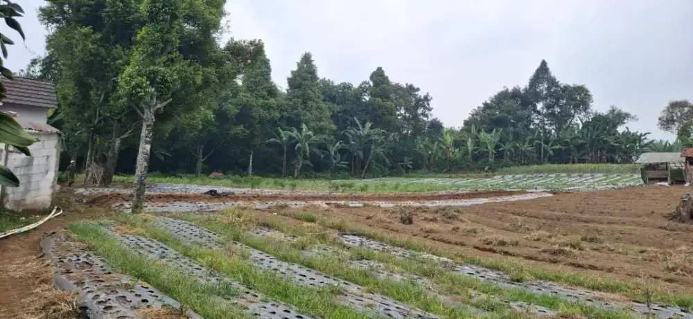 Sukagalih Hill , Jual tanah kavling