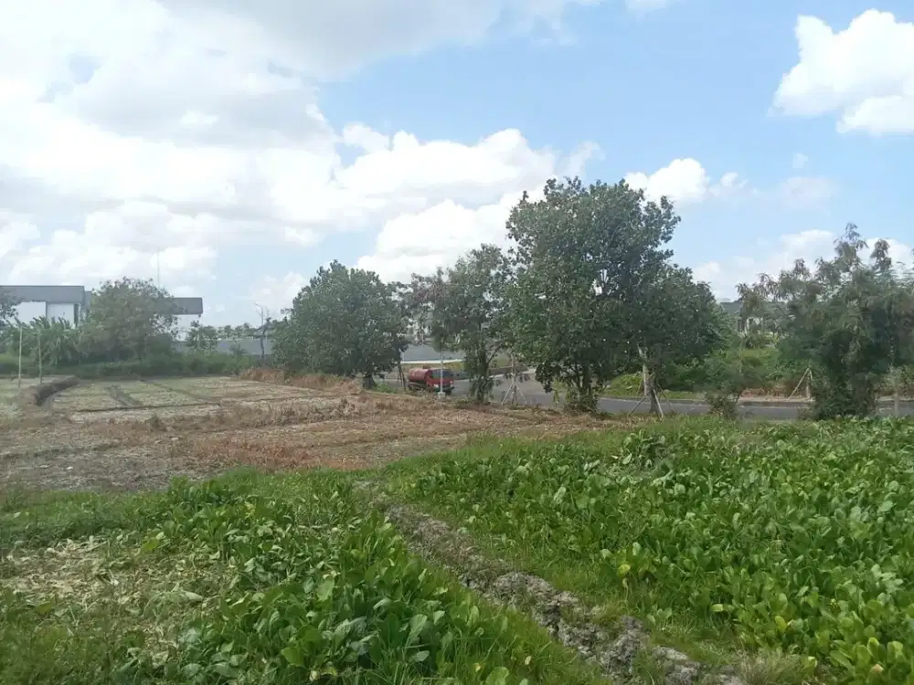 Tanah Kebo Iwa pangkung tibah Tabanan