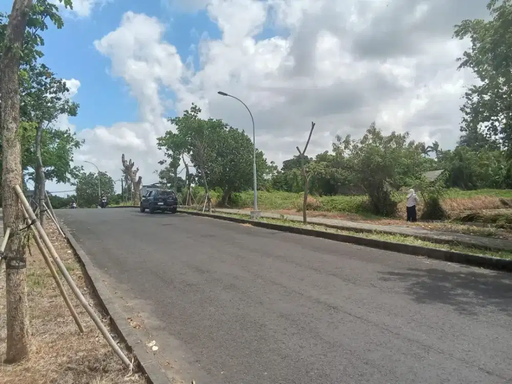Tanah kebo iwa pangkung tibah tabanan bali