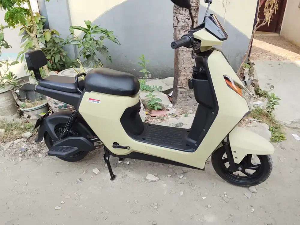 Sepeda listrik uwinfly D65