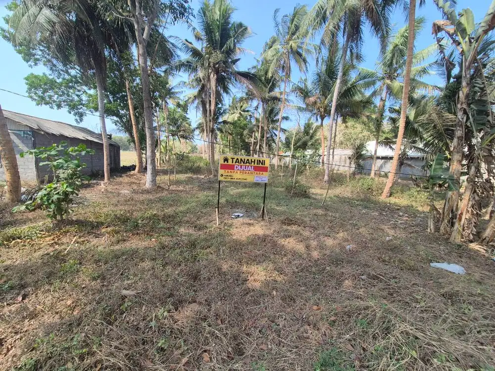 Tanah pekaraangan jl Daendels 2900m2