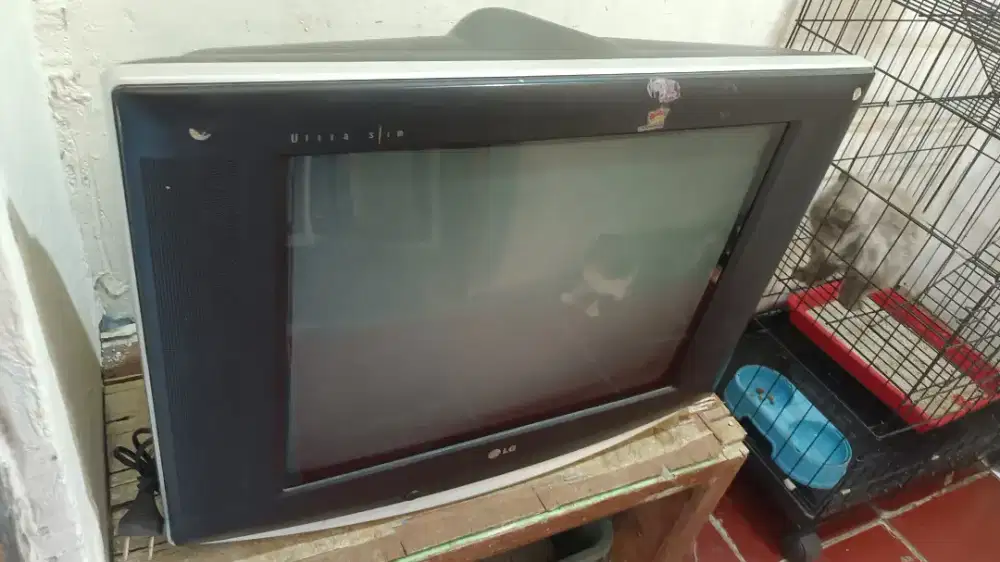 TV LG 21 IN SLIM