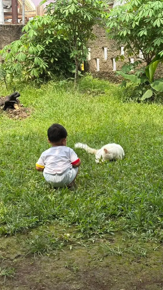 Dicari Nanny/Babysitter PP