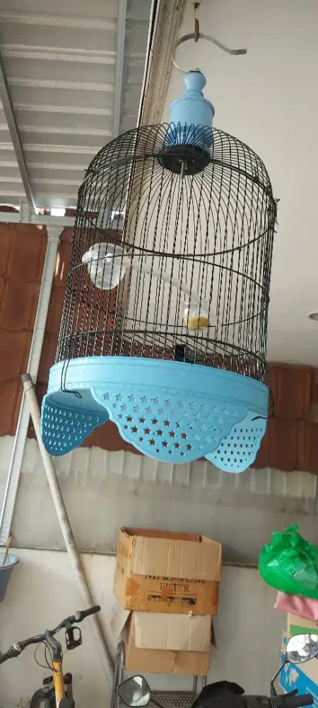 Sangkar burung kapsul standar