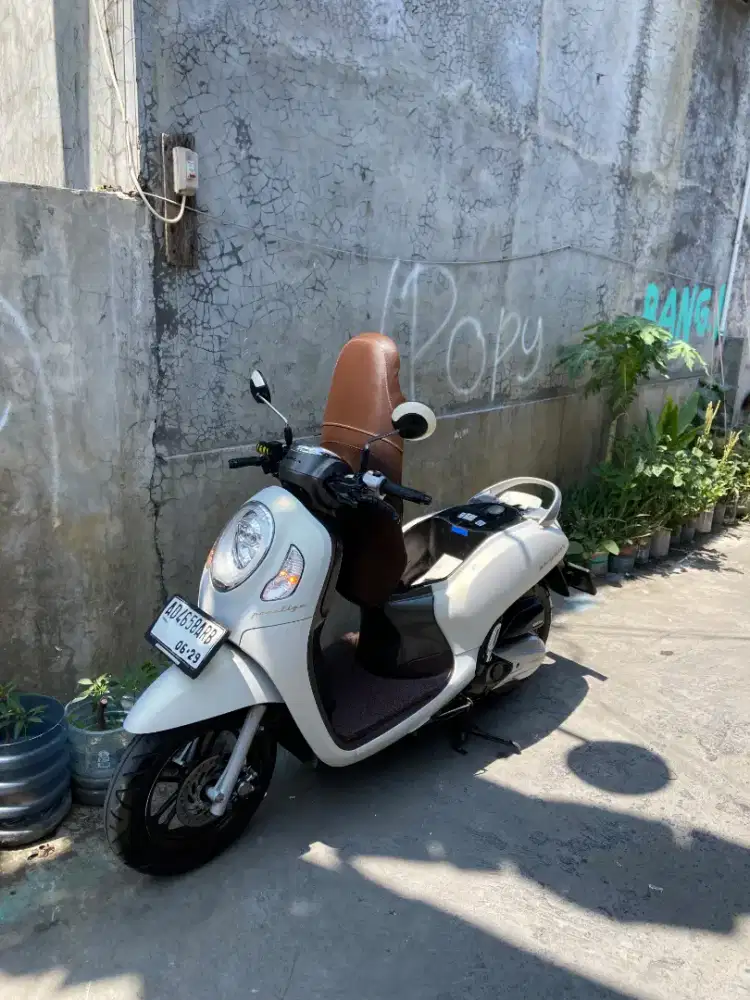 Scopy istimewa 2024