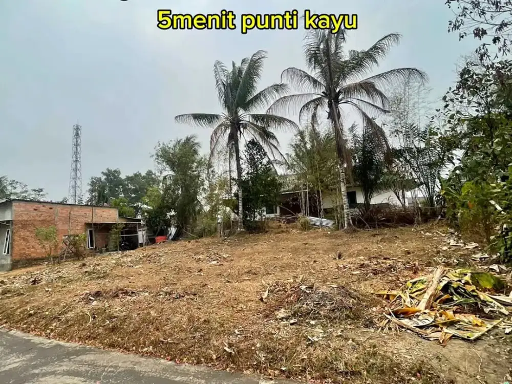 TANAH MURAH AREA PUNTI KAYU PALEMBANG