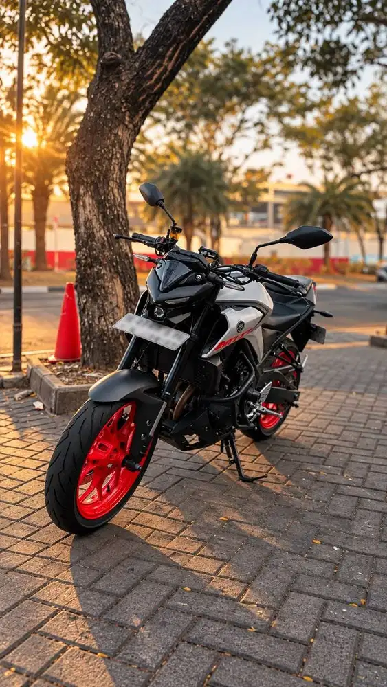 YAMAHA MT25 Tahun 2019 (Alien Face)