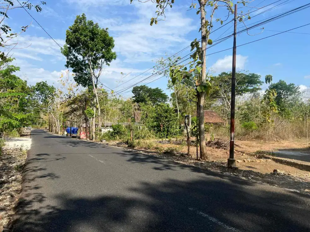 TANAH MURAH PINGGIR JALAN RAYA di Bejiharjo utara kota Wonosari Gunungkidul bisa beli setengah SHM Pekarangan