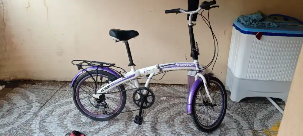 Speda Lipat exotic