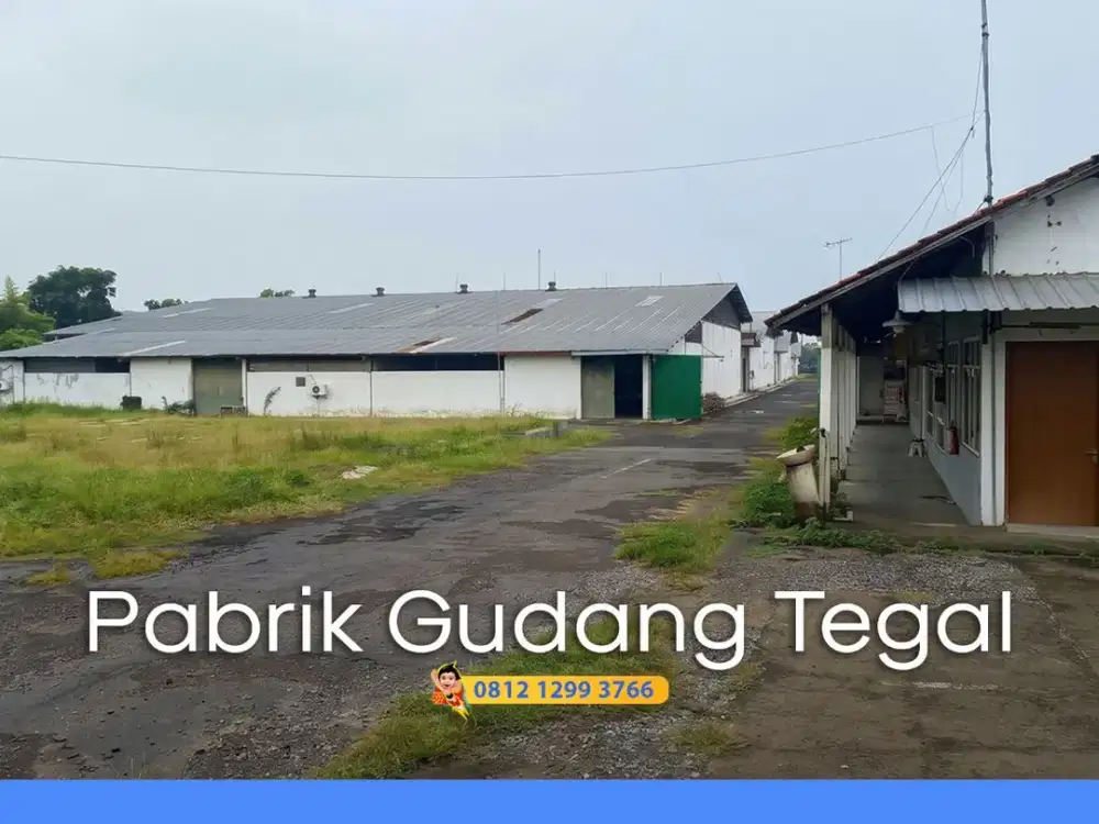 Murahh! Pabrik + Gudang di Tegal Batang Kendal Canti Terboyo jatengland