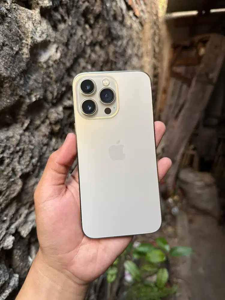 IPHONE 13 PRO 256GB INTER NOMINUS