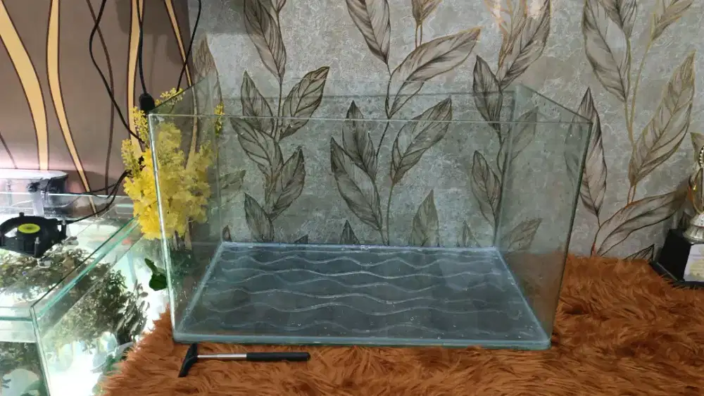 Di jual tank aquarium lengkung kaca asli sakura