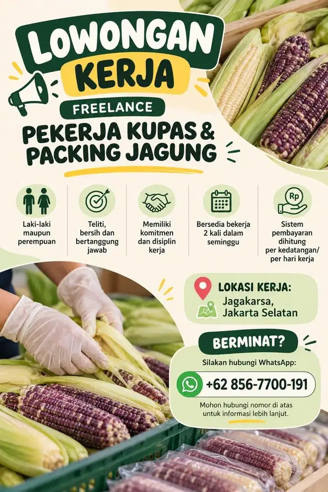 Dicari Freelance Untuk Kupas dan Packing jagung kerja 12jam