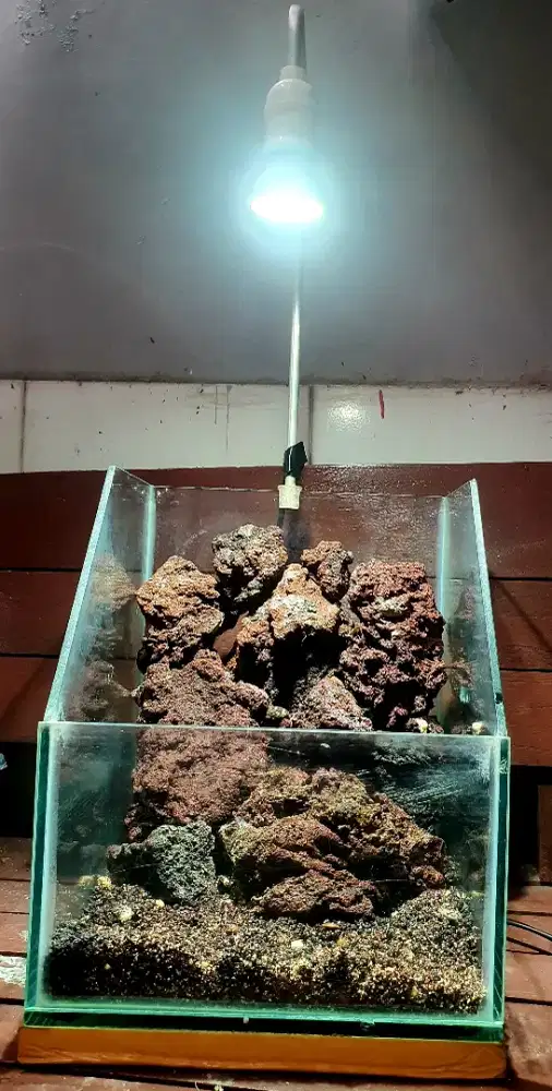 Aquarium lengkap