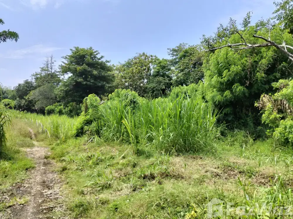 Land for sale in Uluwatu, Bali