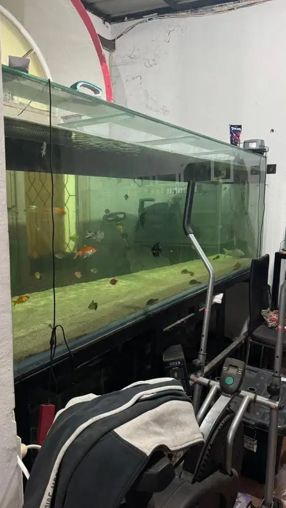 Aquarium megatank 250 cm x 100 cm