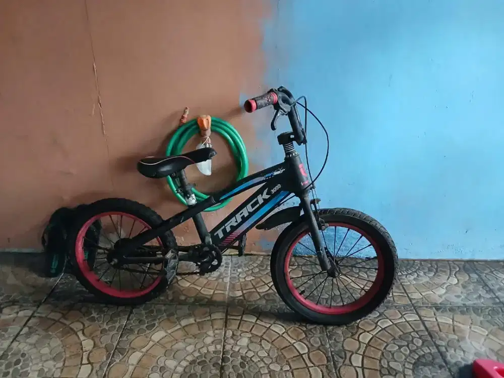 Sepeda anak track