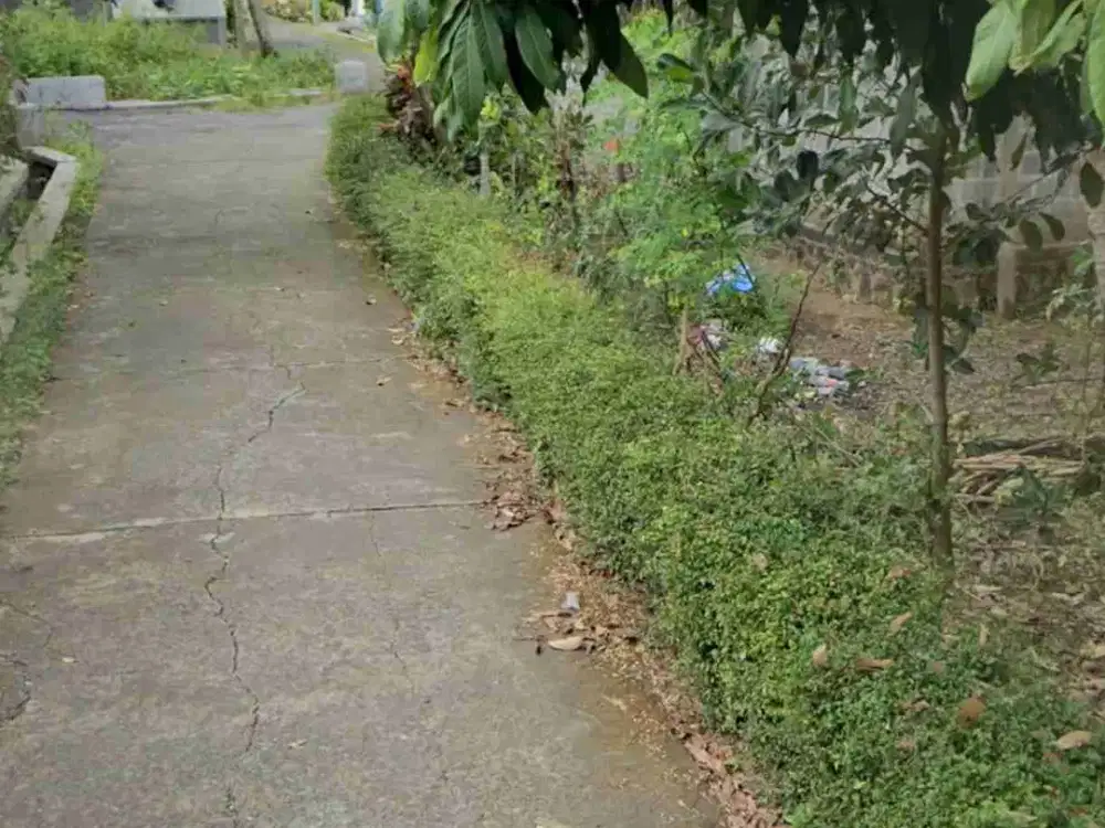 Tanah Dijual dekat Bandara YIA