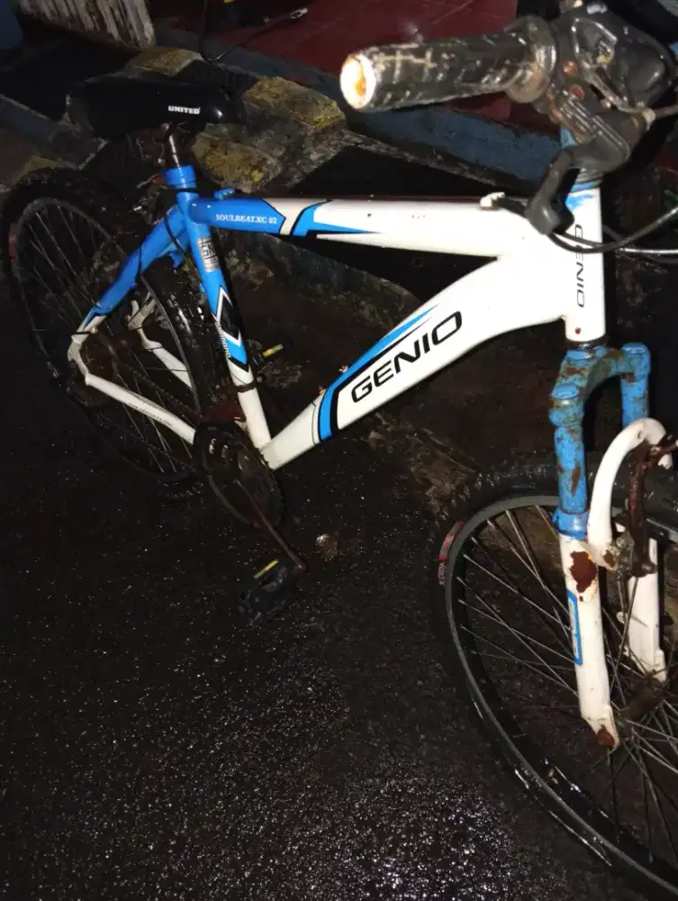 MTB GENIO SOULBEAT XC 02