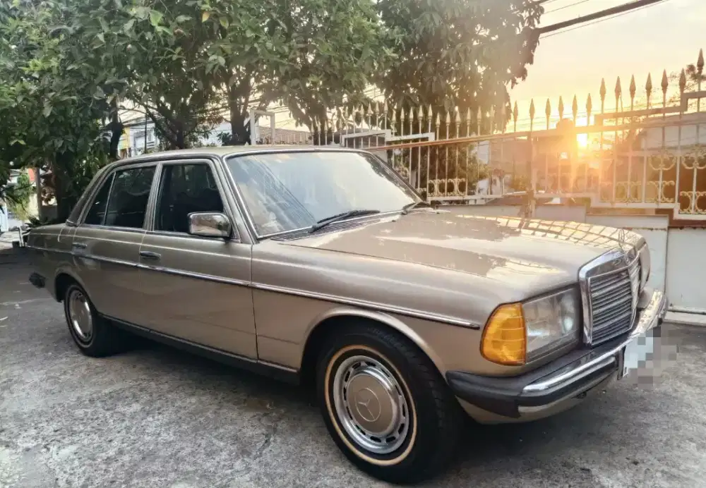 Mercedes Benz Mercy Tiger 230 AT