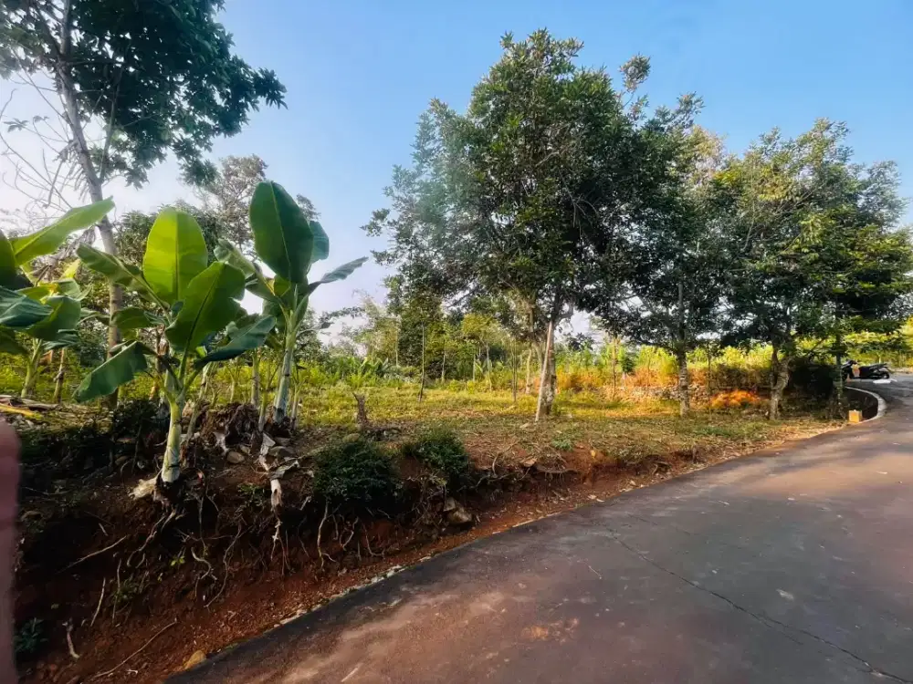 Pekarangan delingan karanganyar
