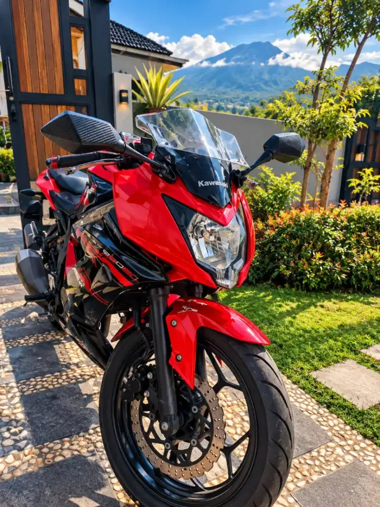 Kawasaki Ninja 250SL