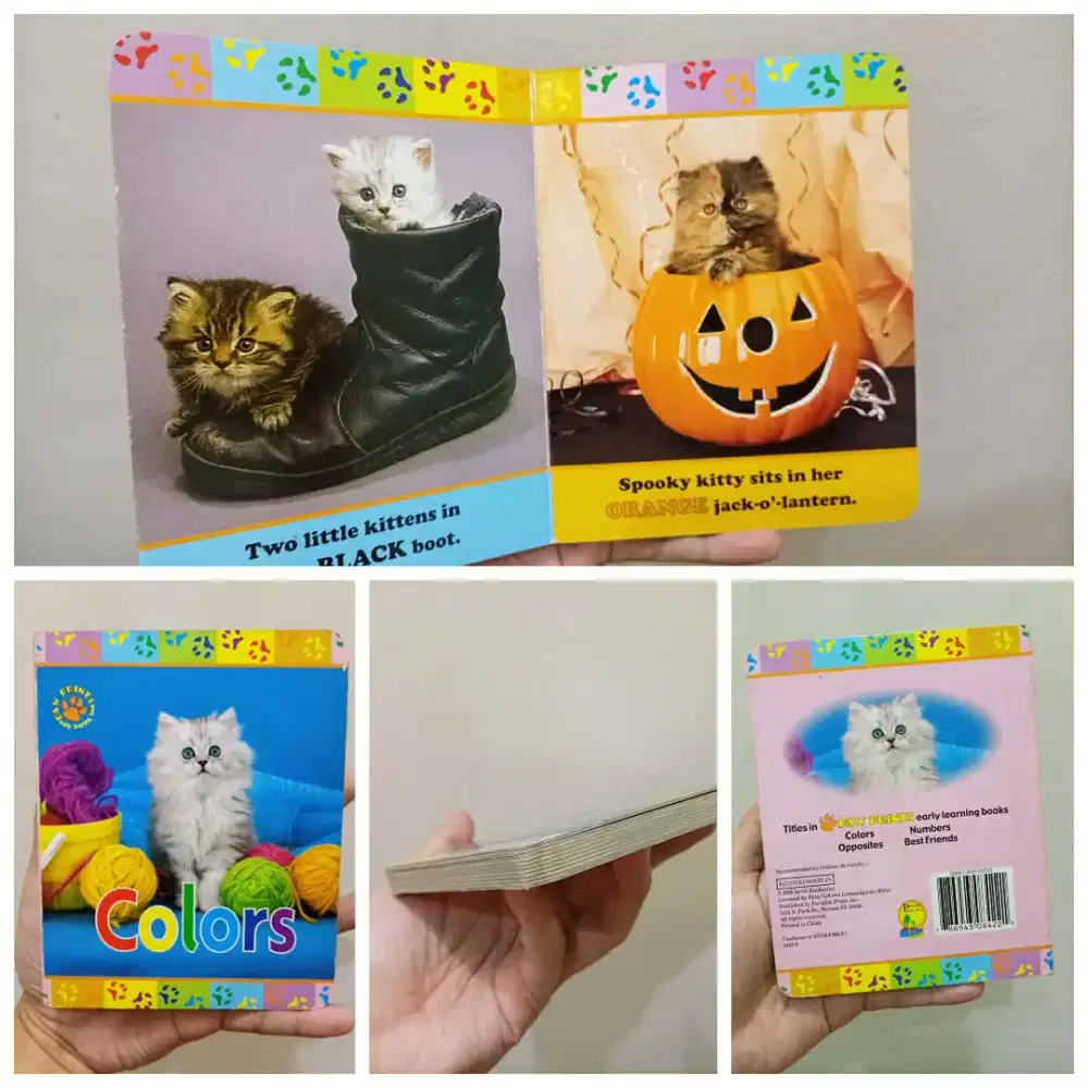 Buku Belajar Warna Import Tema Kucing